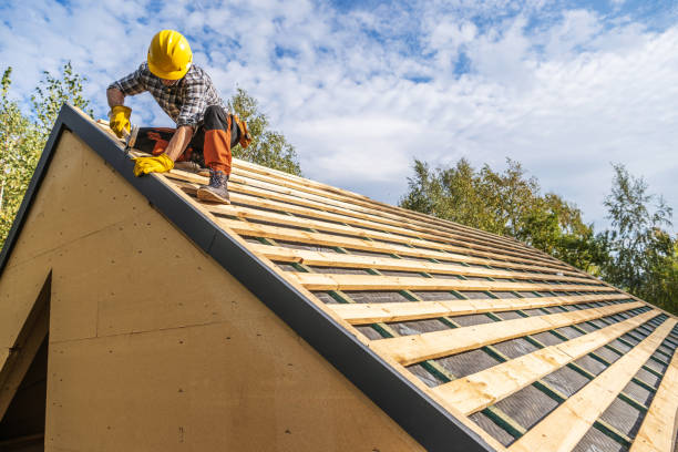Best Metal Roofing Contractor  in Park City, KS
